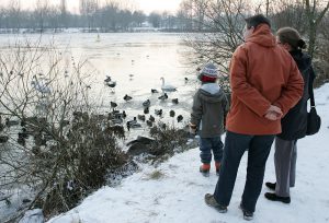 Entenfütterung Entenfütterung