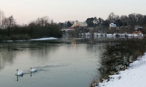 Floßhafen am Dienstag