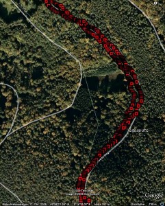 RGM-3800-Track im Wald